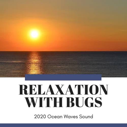 Relaxation with Bugs - 2020 Ocean Waves Sound