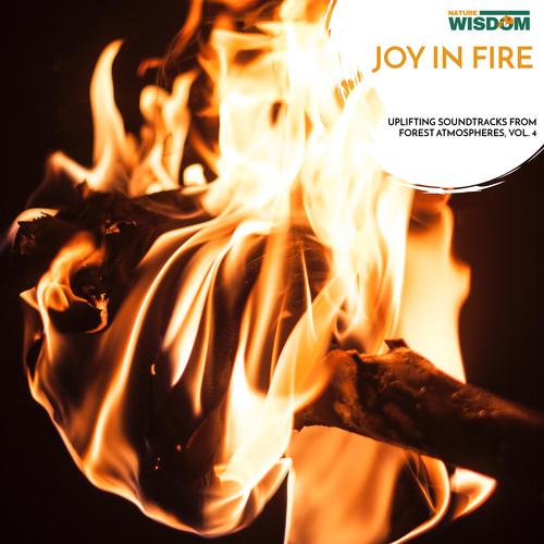 Joy in Fire - Uplifting Soundtracks from Forest Atmospheres, Vol. 4