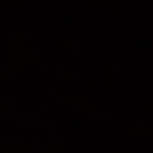 I Just Wanna Black Out (Explicit)