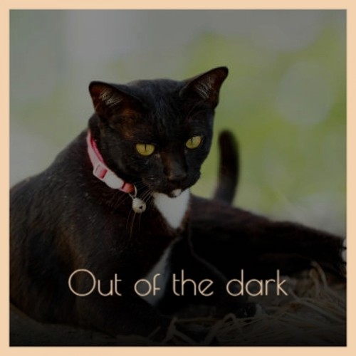 Out of the dark