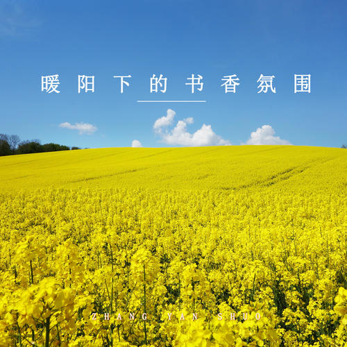 暖阳下的书香氛围