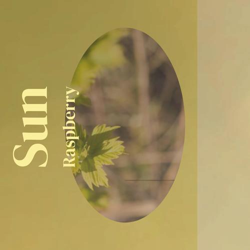 Sun Raspberry
