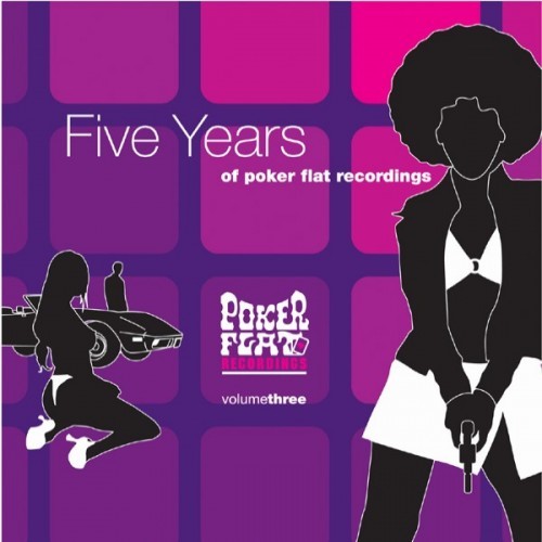 5 Years of Poker Flat Recordings (Vinyl Version)