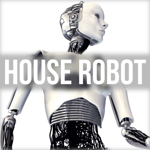 House Robot