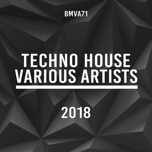 Techno House