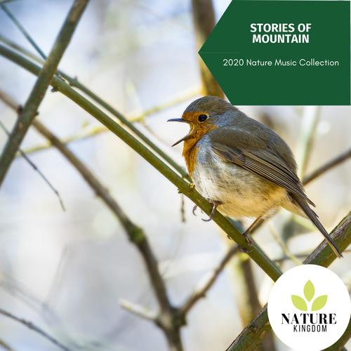 Stories of Mountain - 2020 Nature Music Collection