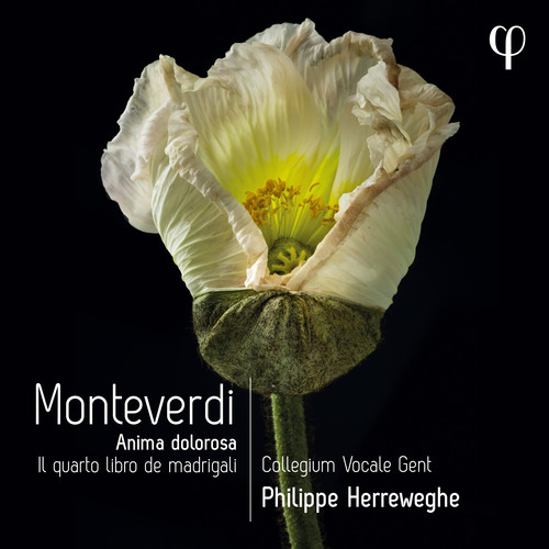 Monteverdi: Il quarto libro de madrigali