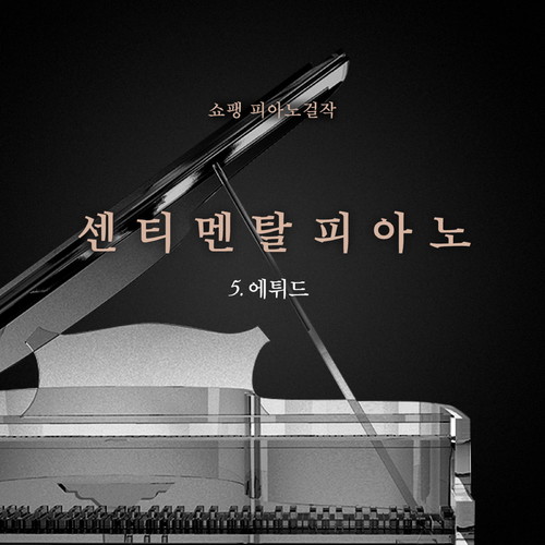 쇼팽 피아노 걸작 5.에튀드 (Chopin Piano Masterpiece 5. Etude)