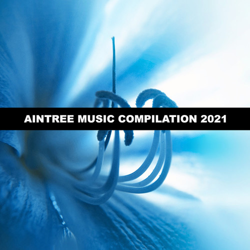 Aintree Music Compilation 2021