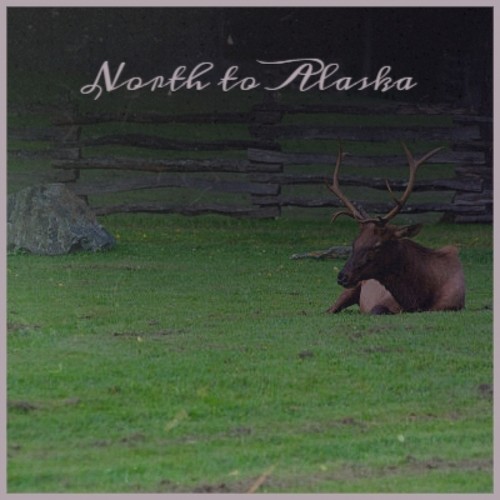 North to Alaska