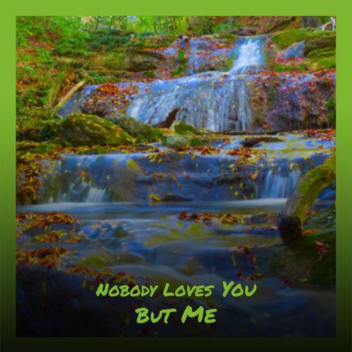 Nobody Loves You But Me
