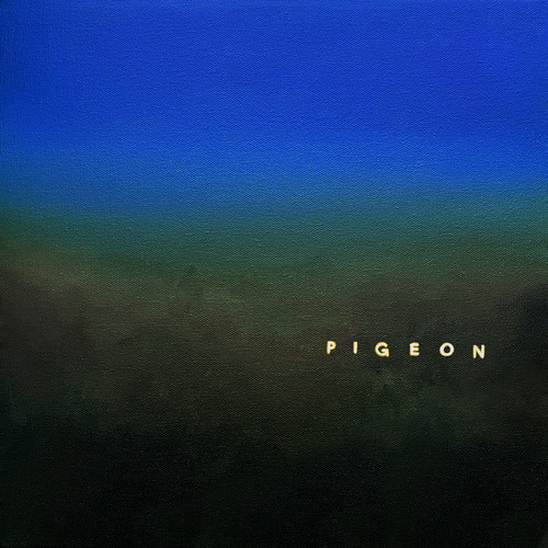 Pigeon