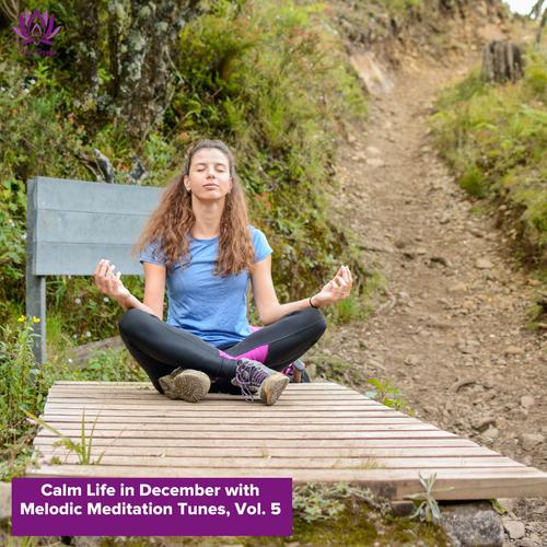 Calm Life in December with Melodic Meditation Tunes, Vol. 5