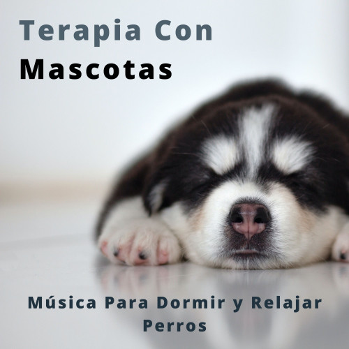 Terapia Con Mascotas: Música Para Dormir y Relajar Perros