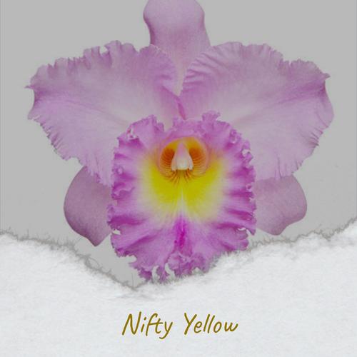 Nifty Yellow