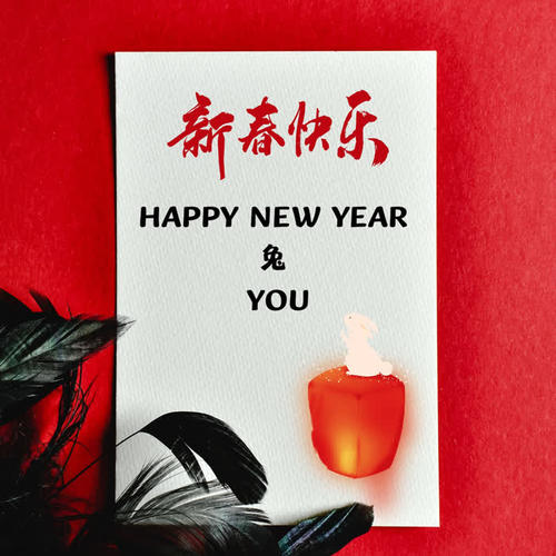 HAPPY NEW YEAR 兔 YOU 新春快乐 (Explicit)