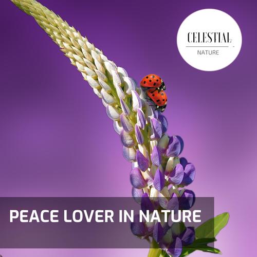Peace Lover in Nature
