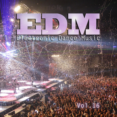 Electronic Dance Music, Vol. 16