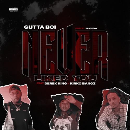 Never Liked You (feat. Derek King & Kirko Bangz) [Explicit]