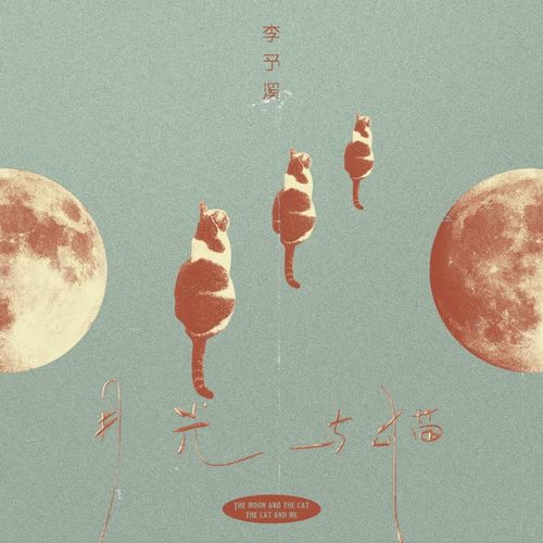 月光与猫