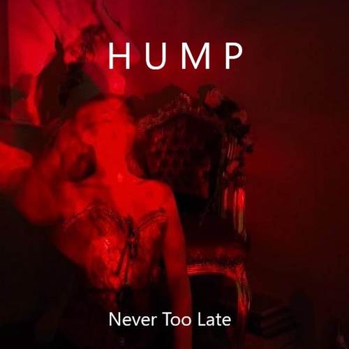 Never Too Late (Explicit)