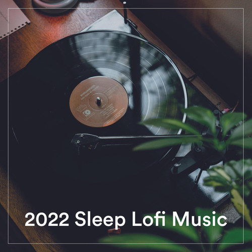 2022 Sleep Lofi Music (Explicit)