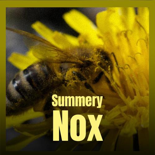 Summery Nox