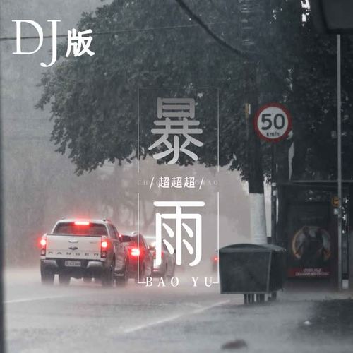 暴雨（DJ版）