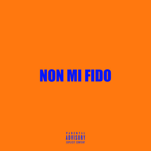 Non mi fido (Explicit)