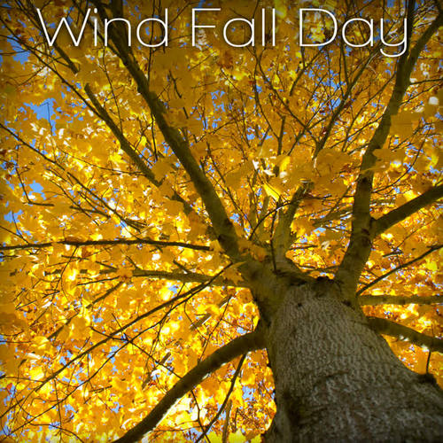 Wind Fall Day