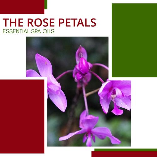 The Rose Petals - Essential Spa Oils