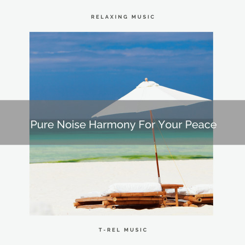 Pure Noise Harmony For Your Peace