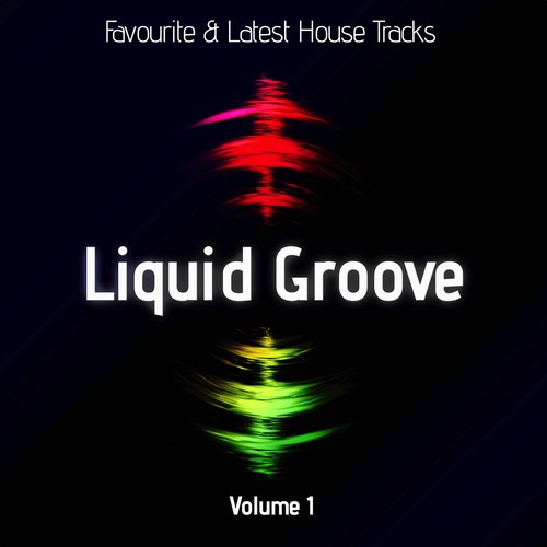 Liquid Groove, Vol. 1