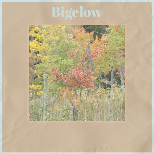 Bigelow