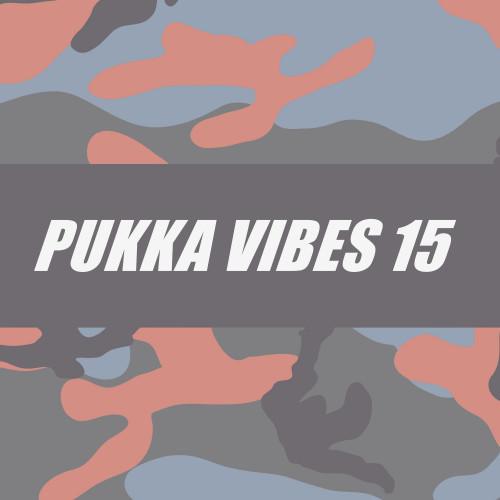 PUKKA VIBES 15