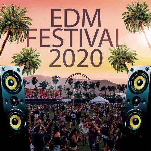 EDM Festival 2020