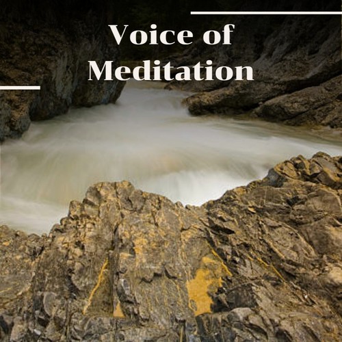 Voice of Meditation