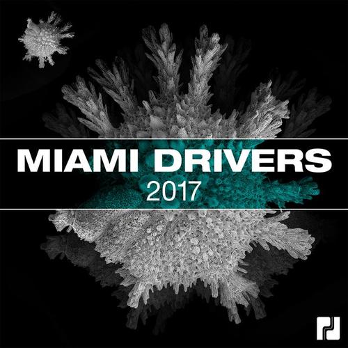 Miami Drivers 2017 Compilation