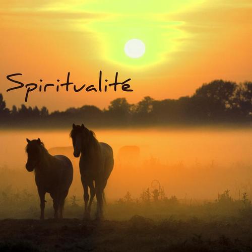 Spiritualité – Musique d'ambience pour apprendre à méditer, thérapie de la musique pour yoga, méditation transcendantale et pleine conscience