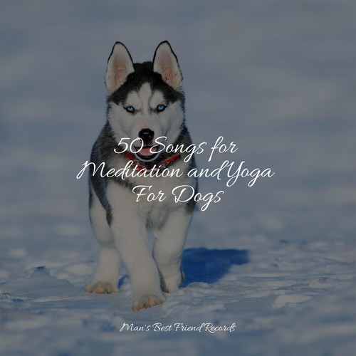 50 Songs for Meditation and Yoga For Dogs