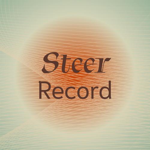 Steer Record