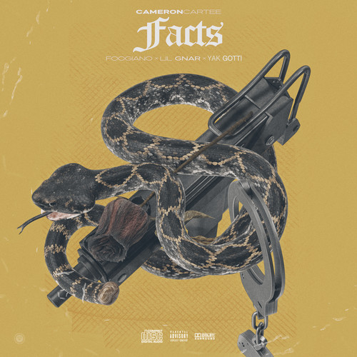 Facts (Explicit)