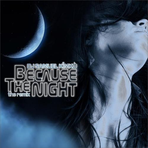 Because the Night (The Remix) [Explicit]