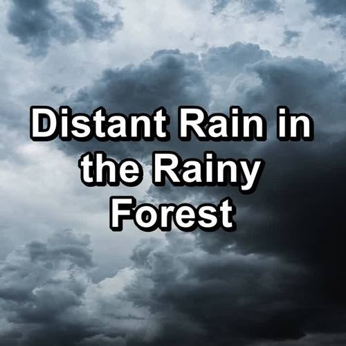 Distant Rain in the Rainy Forest