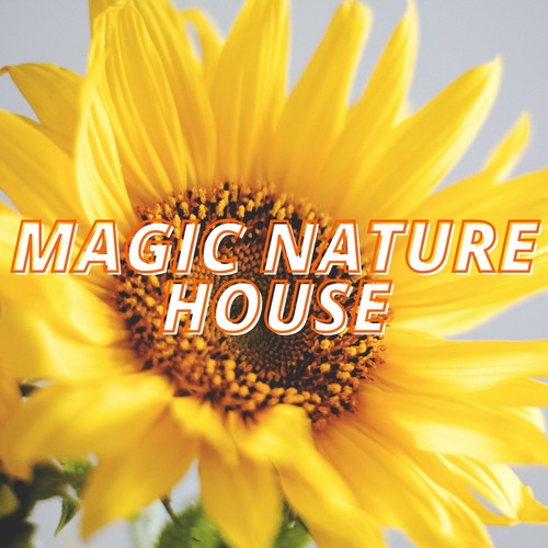 Magic Nature House