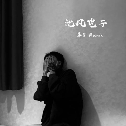 沈风电子