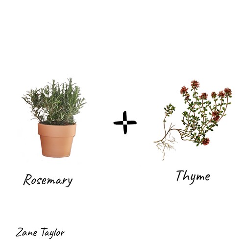 Rosemary and Thyme