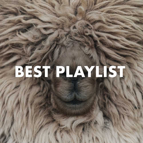 Best Playlist (Explicit)