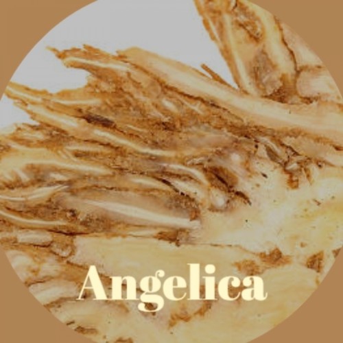 Angelica