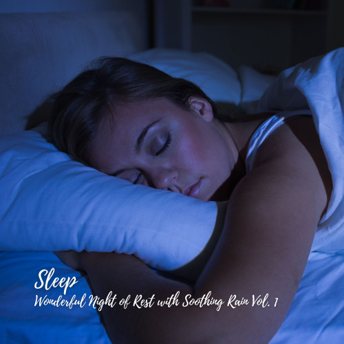 Sleep: Wonderful Night of Rest with Soothing Rain Vol. 1